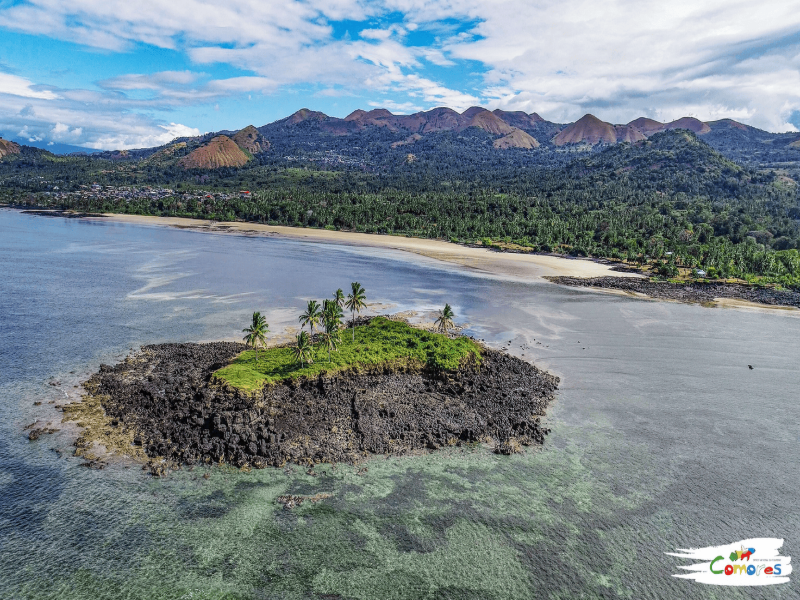 L’île aux tortues