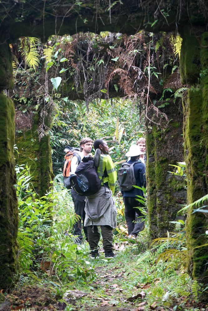 Laissez-vous tenter par des expériences inoubliables